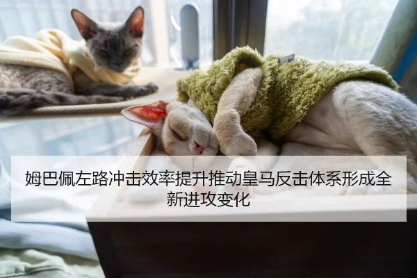 姆巴佩左路冲击效率提升推动皇马反击体系形成全新进攻变化